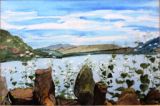 56 - Margaret White - A View to the Lake - Watercolour.jpg